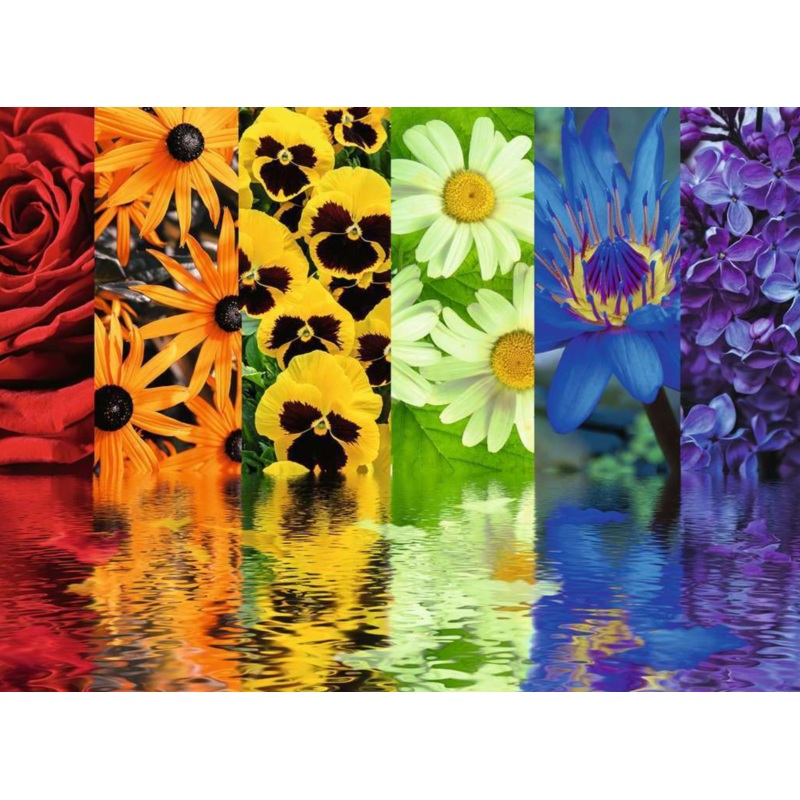 Floral Reflections Puzz 500 Pce
