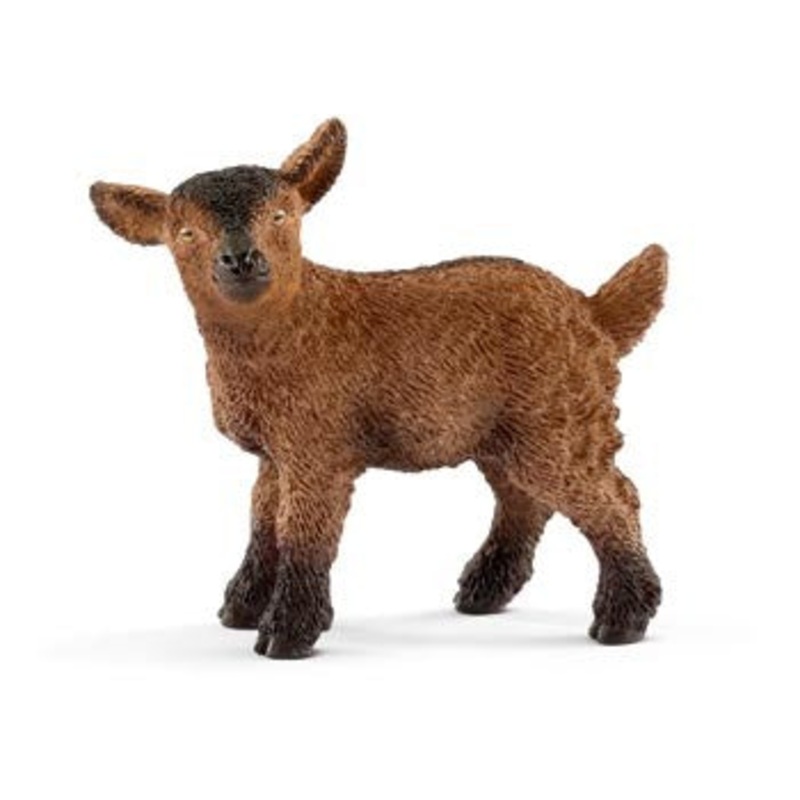 Goat Kid 13829
