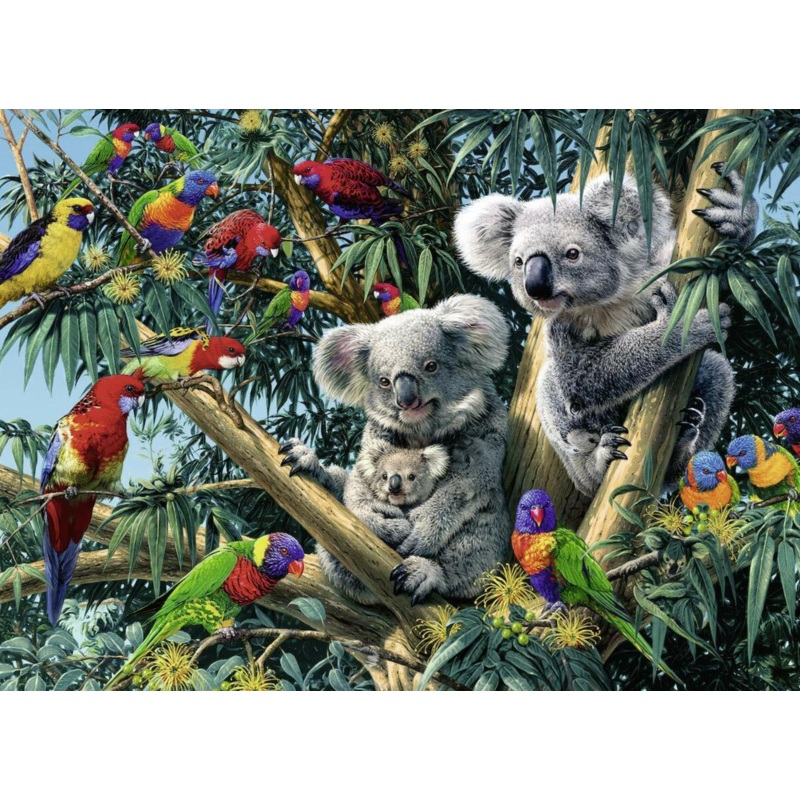 Koalas In A Tree Puzzle 500 Pce