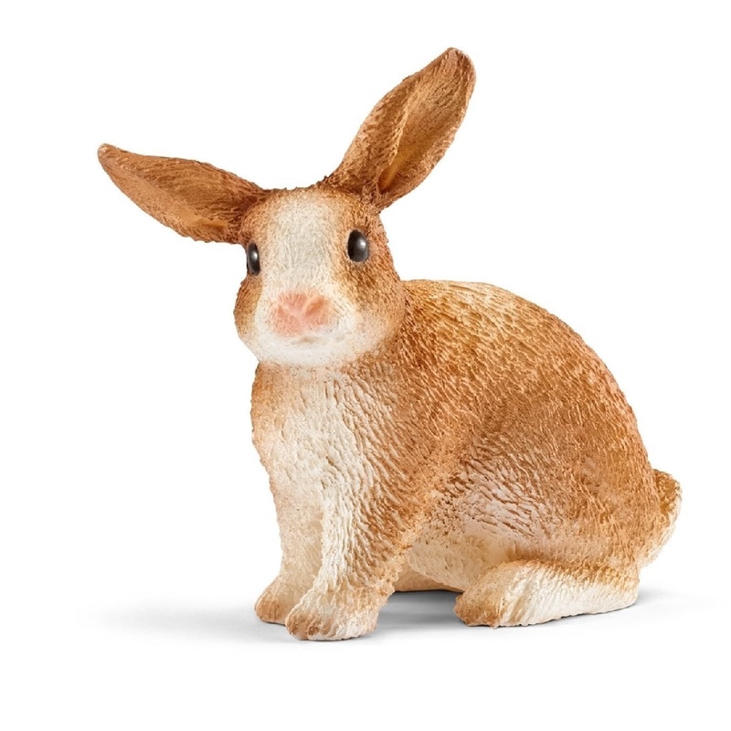 Rabbit 13827