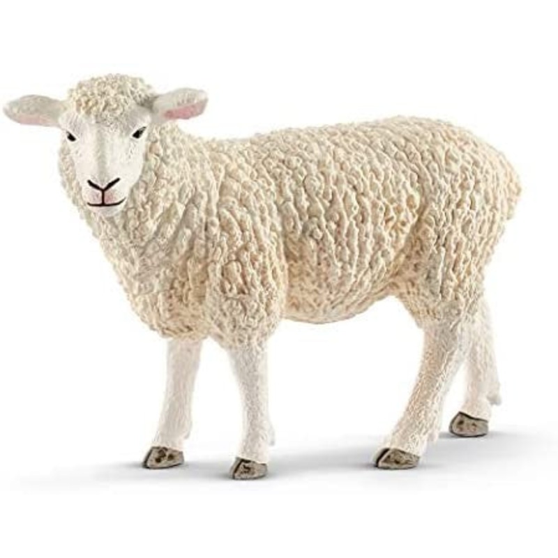 Sheep 13882