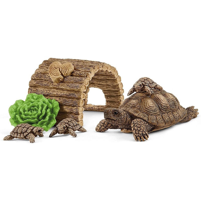 Tortoise Home 42506