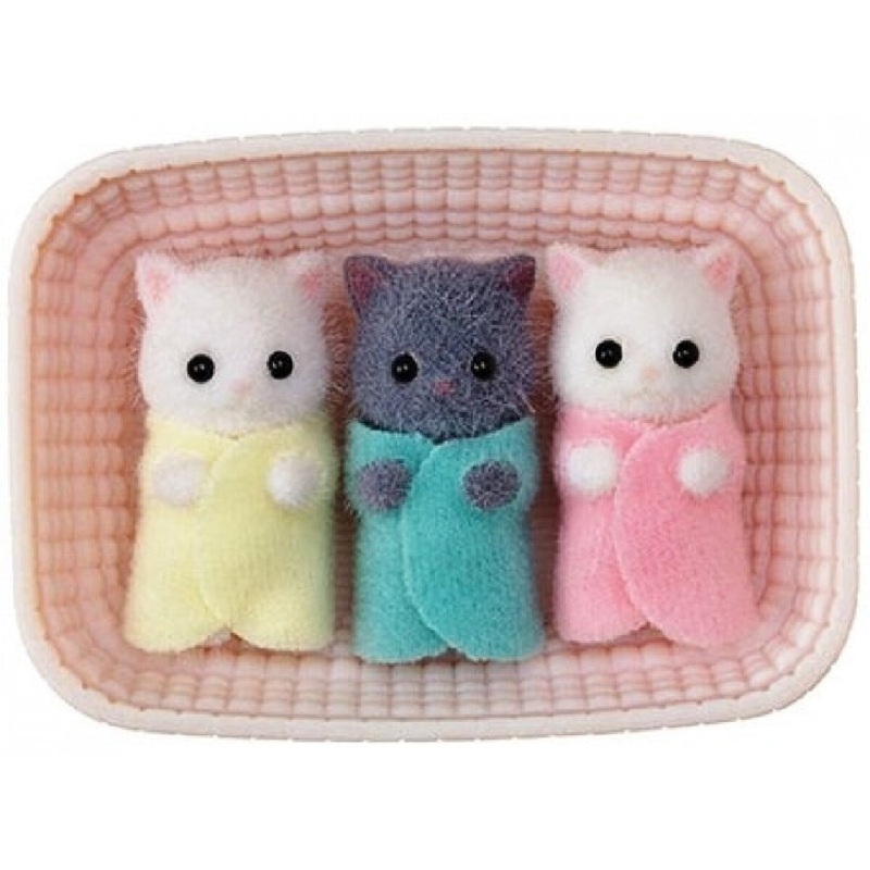 Triplets Persian Cat