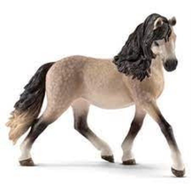 Andalusian Mare 13793