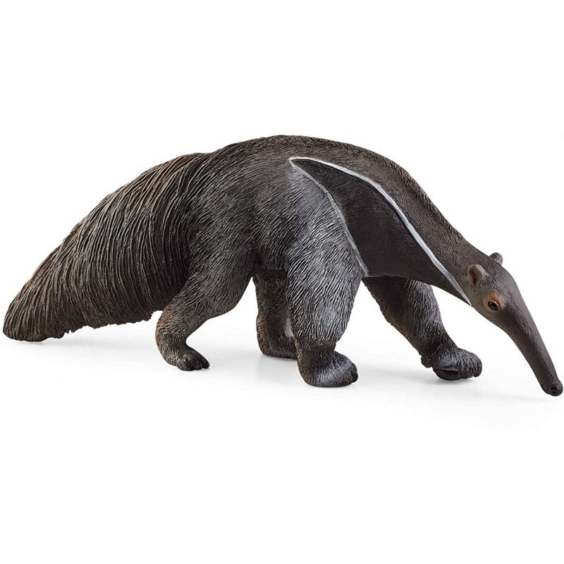Anteater 14844