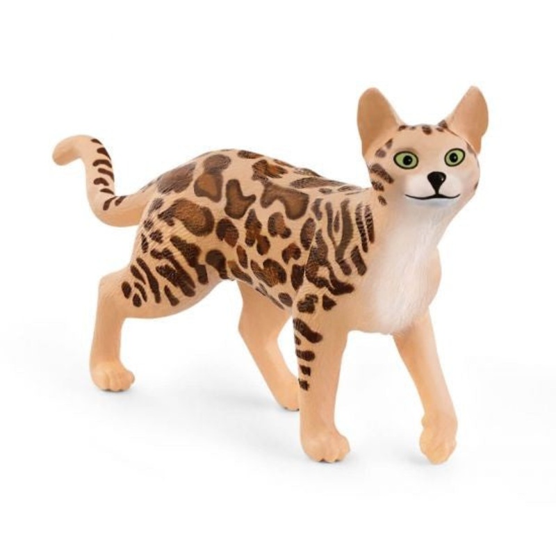 Bengal Cat 13918