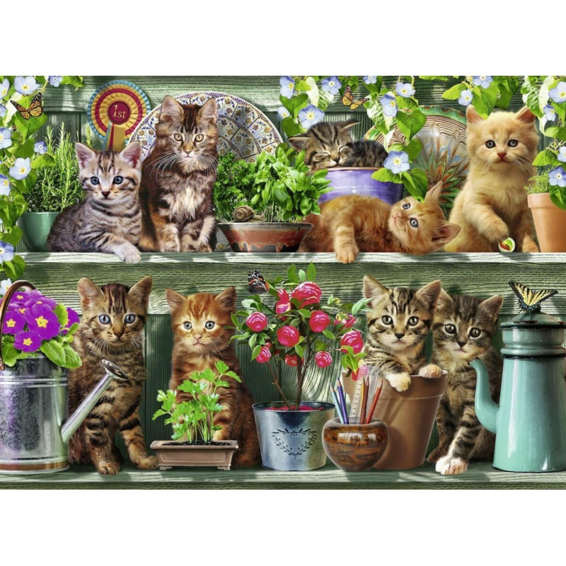 Cats On The Shelf Puzz 500 Pces