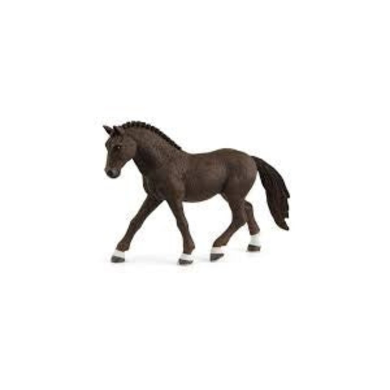 German Riding Pony Gelding 13926