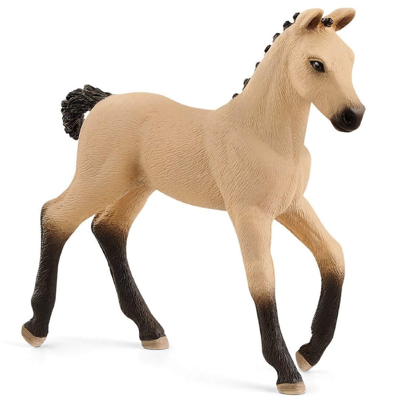 Hanoverian Foal Red Dun 13929