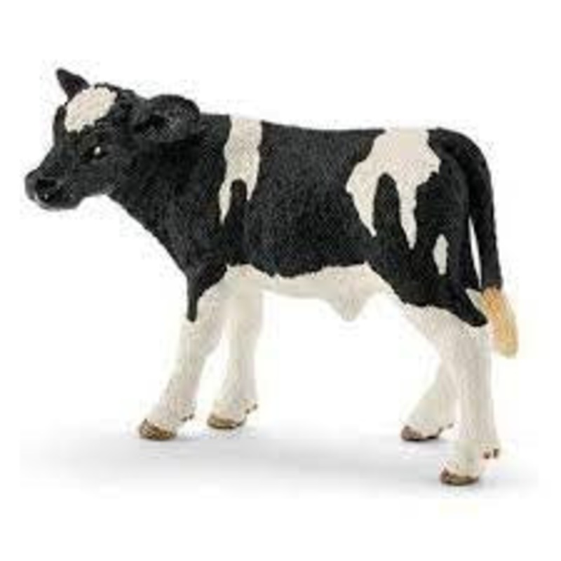 Holstein Calf 13798