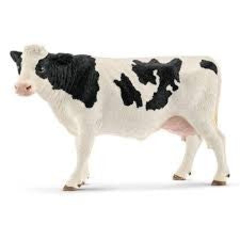 Holstein Cow 13797