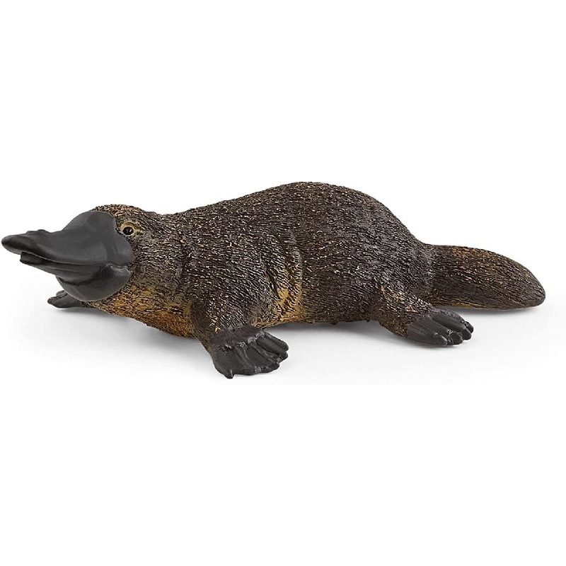 Platypus 14840