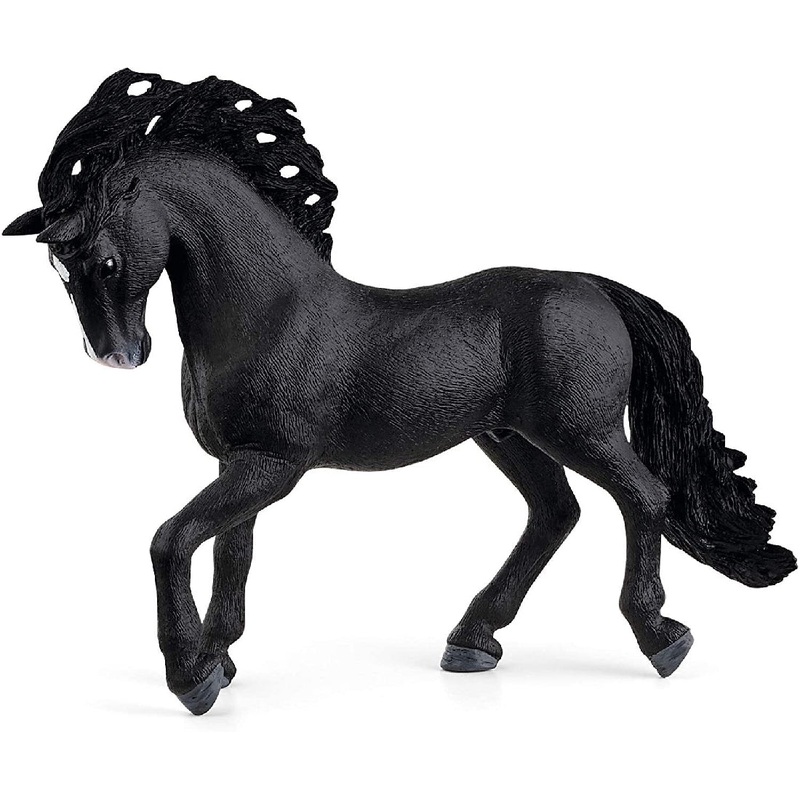 Pura Raza Espanola Stallion 13923