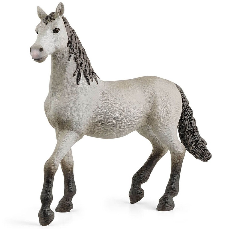 Pura Raza Espanola Young Horse 13924