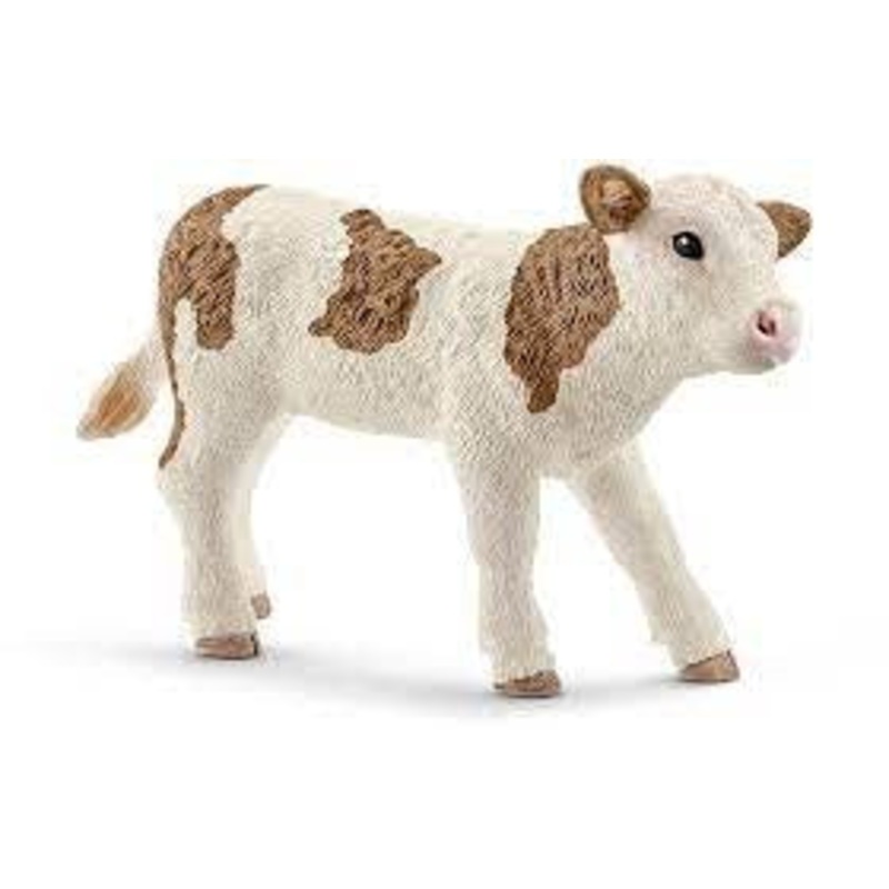 Simmental Calf 13802