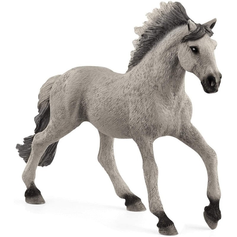 Sorraia Mustang Stallion 13915