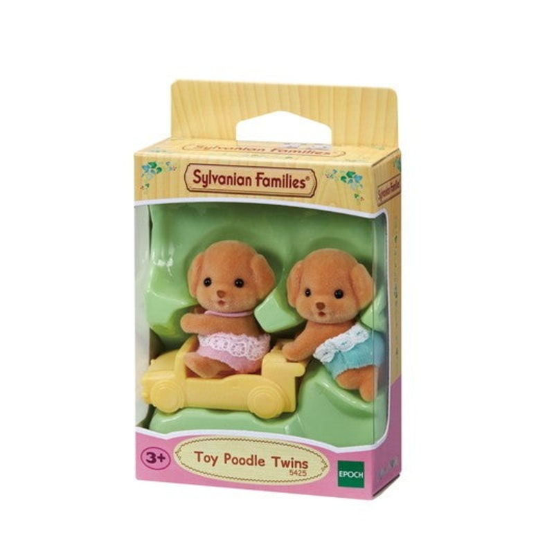 Twins Toy Poodle