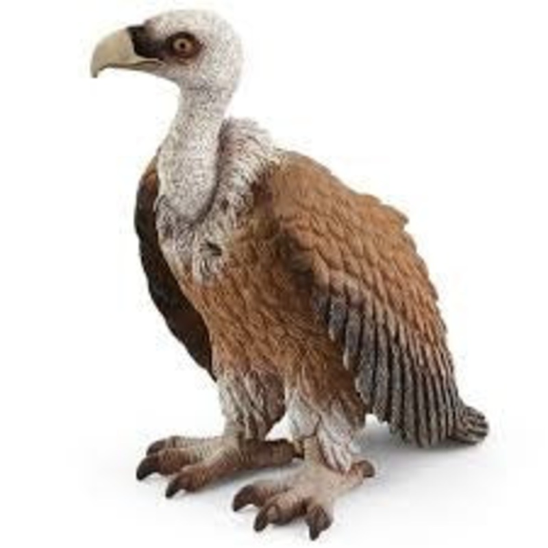 Vulture 14847
