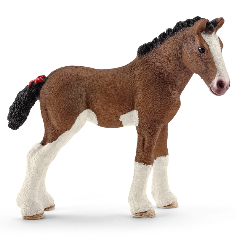 Clydesdale Foal 13810 Nc