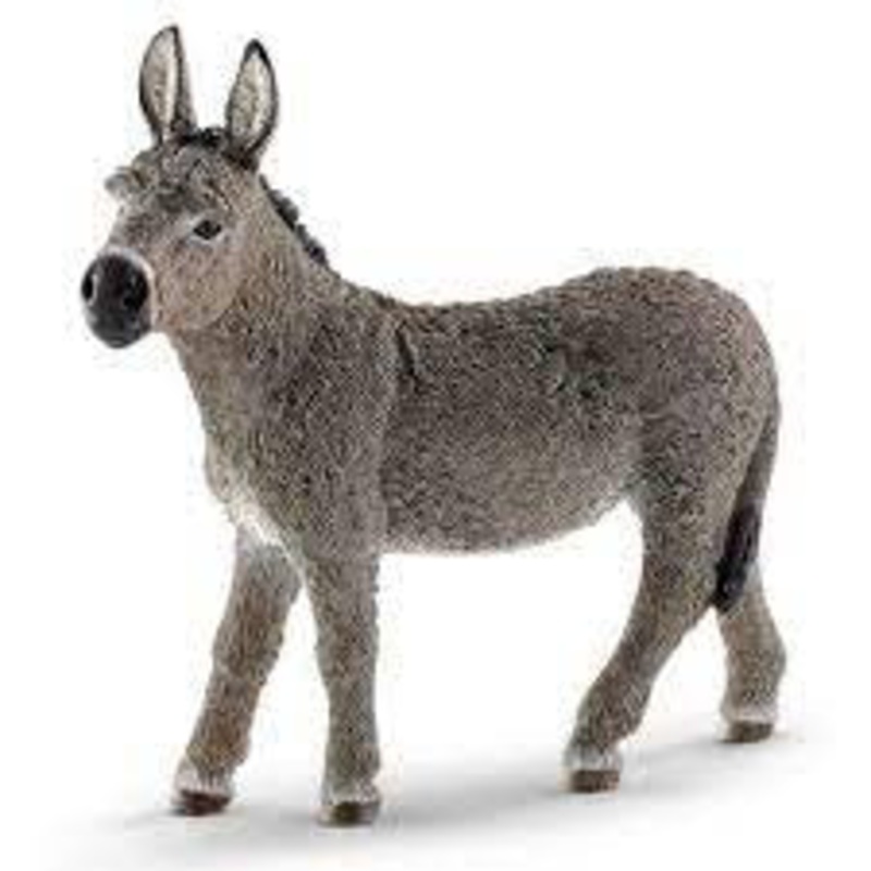 Donkey 13772