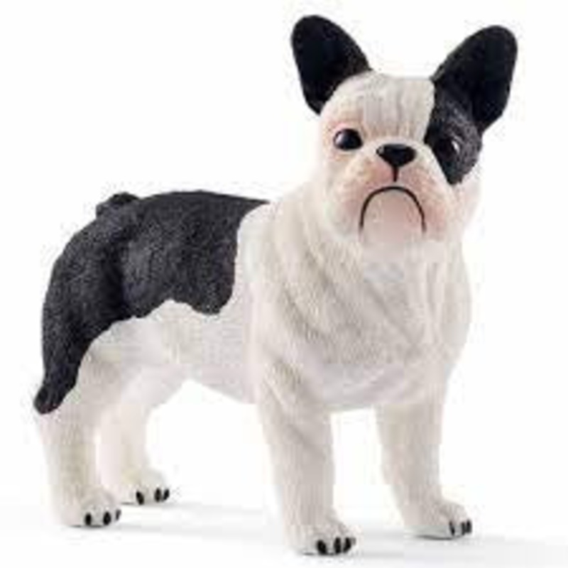French Bulldog 13877