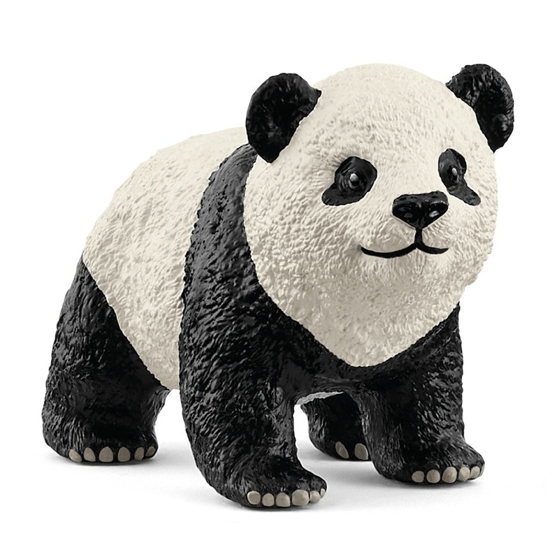 Giant Panda Cub 14886