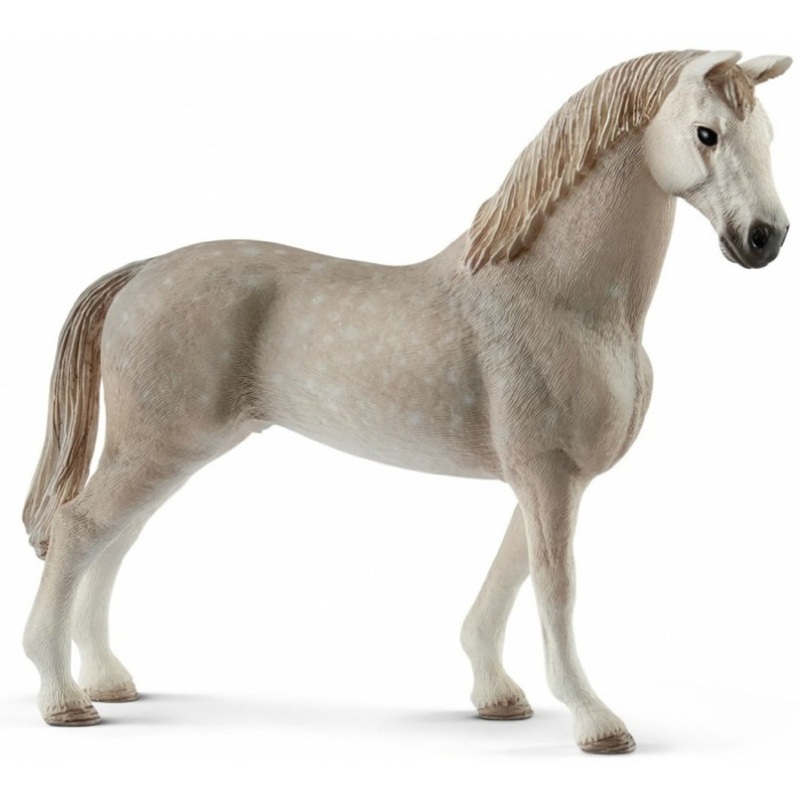 Holsteiner Gelding 13859