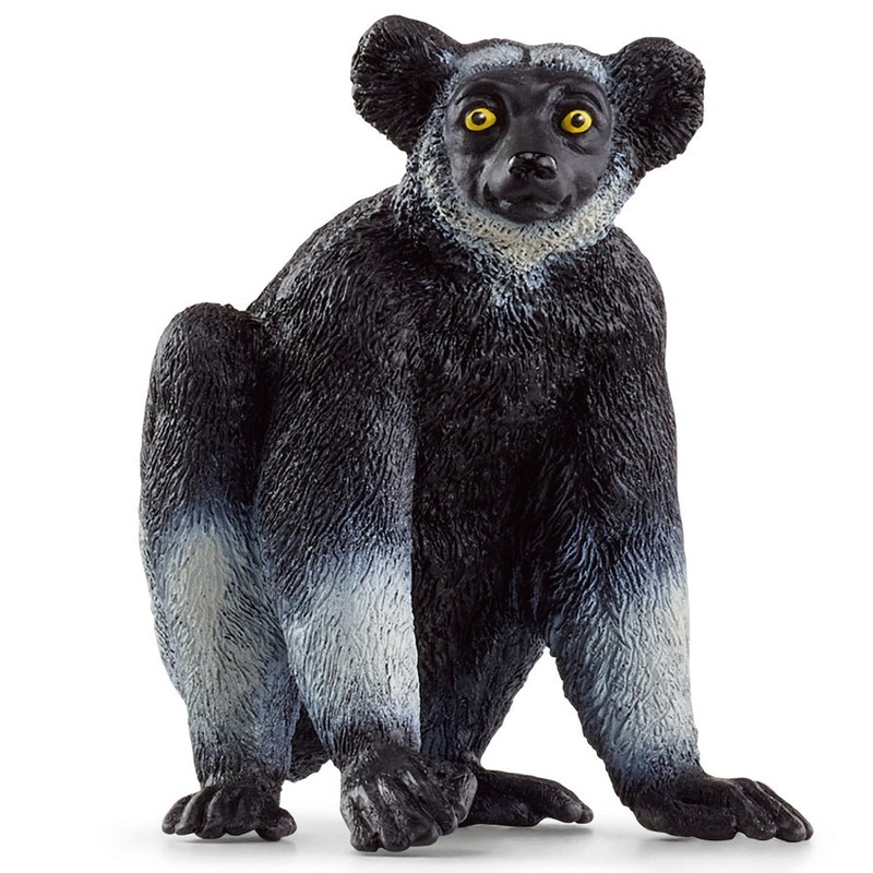 Indri 14877
