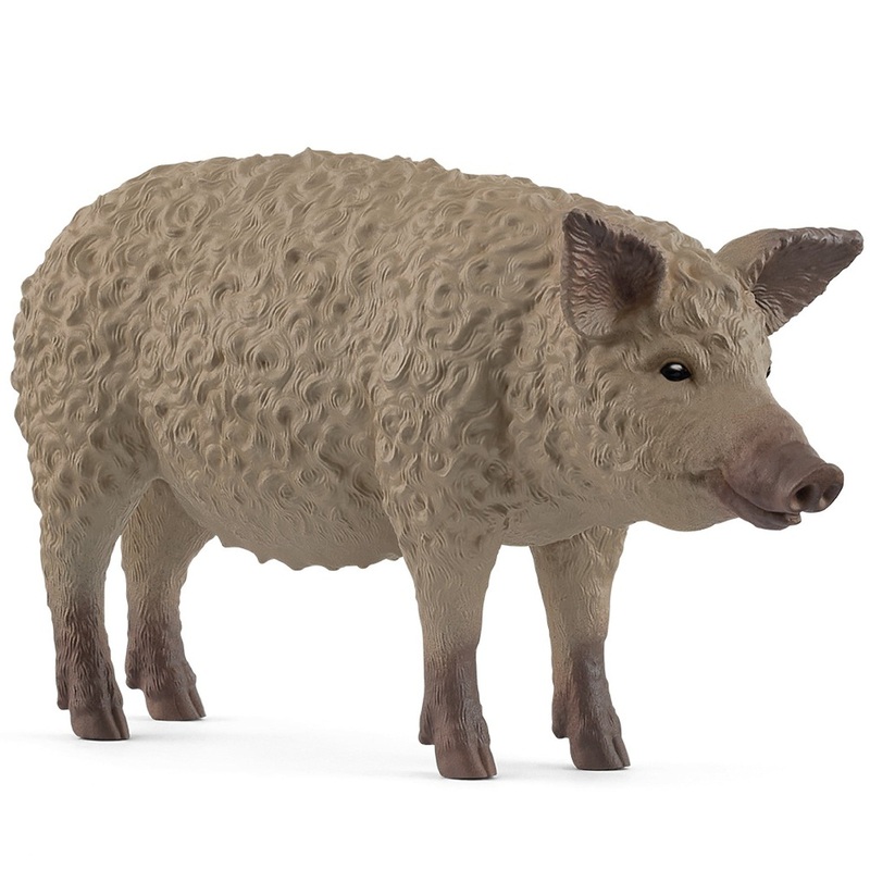Mangalica Pig 14892