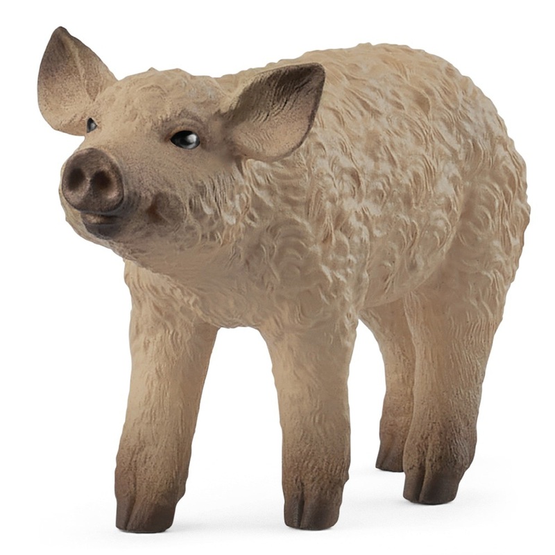 Mangalica Piglet 14893