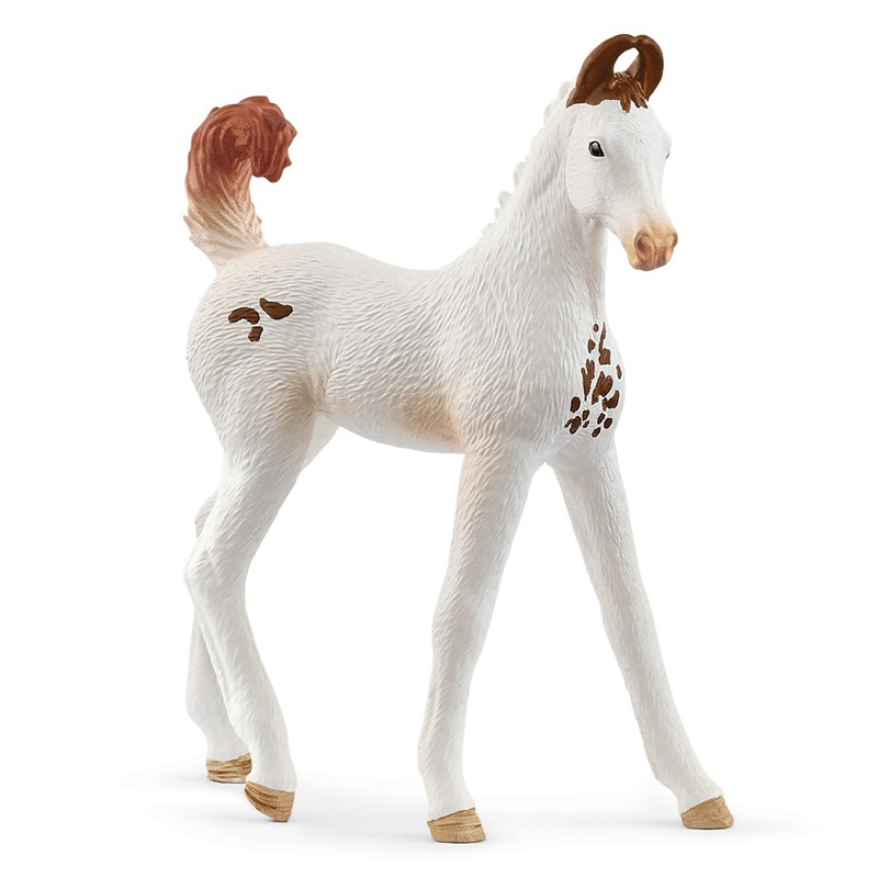 Manwari Foal 14896
