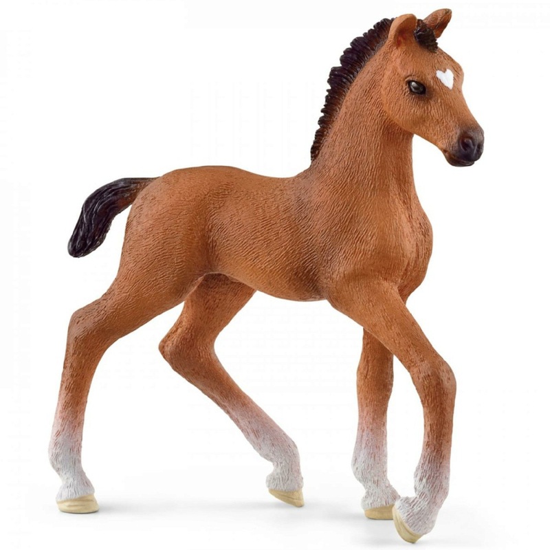 Oldenburger Foal 13947 Nc