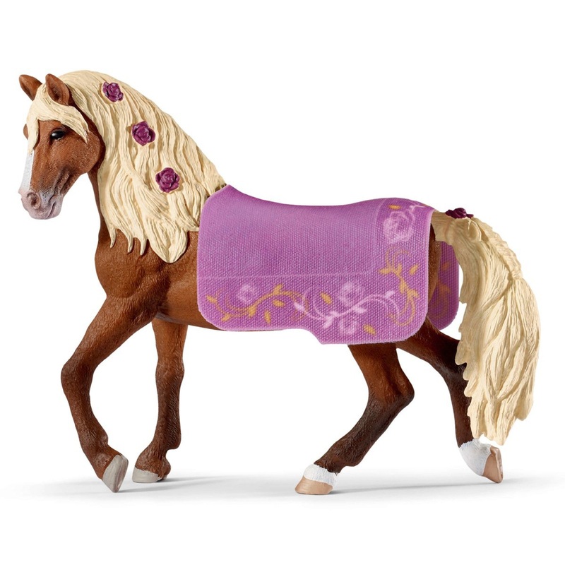 Paso Fino Stallion Horse Show 42468