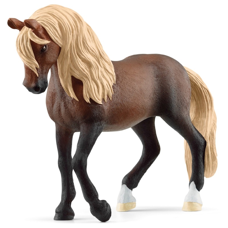 Peruvian Paso Stallion 13952