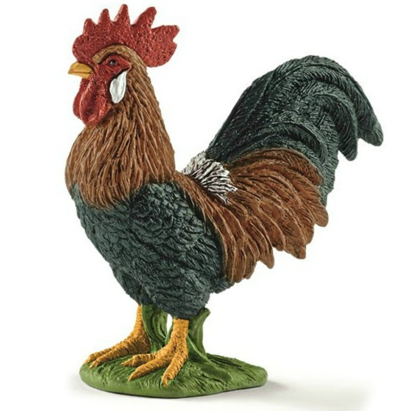 Rooster 13825 Nc