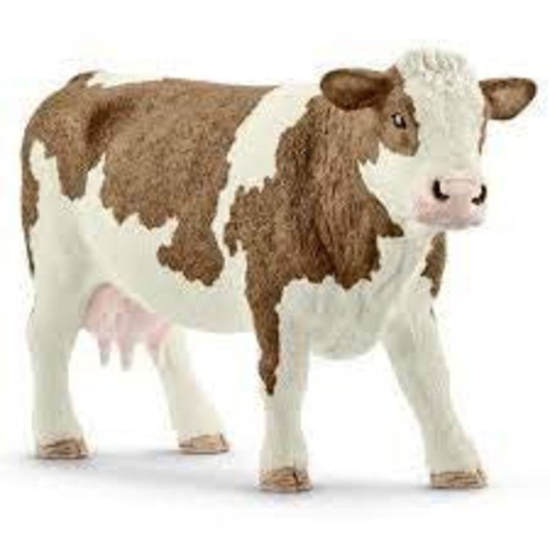 Simmental Cow 13801