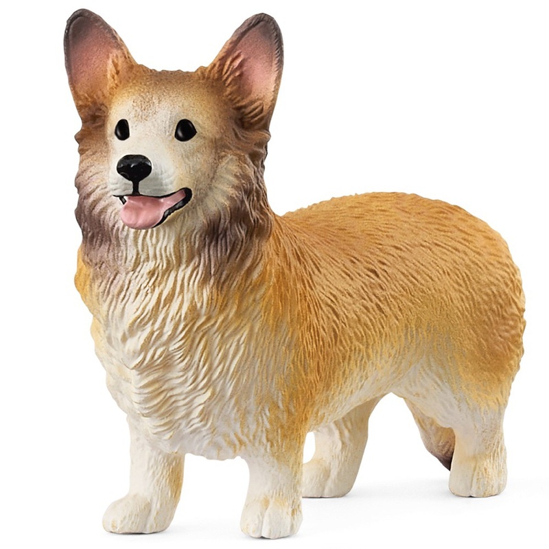 Welsh Corgie 13999