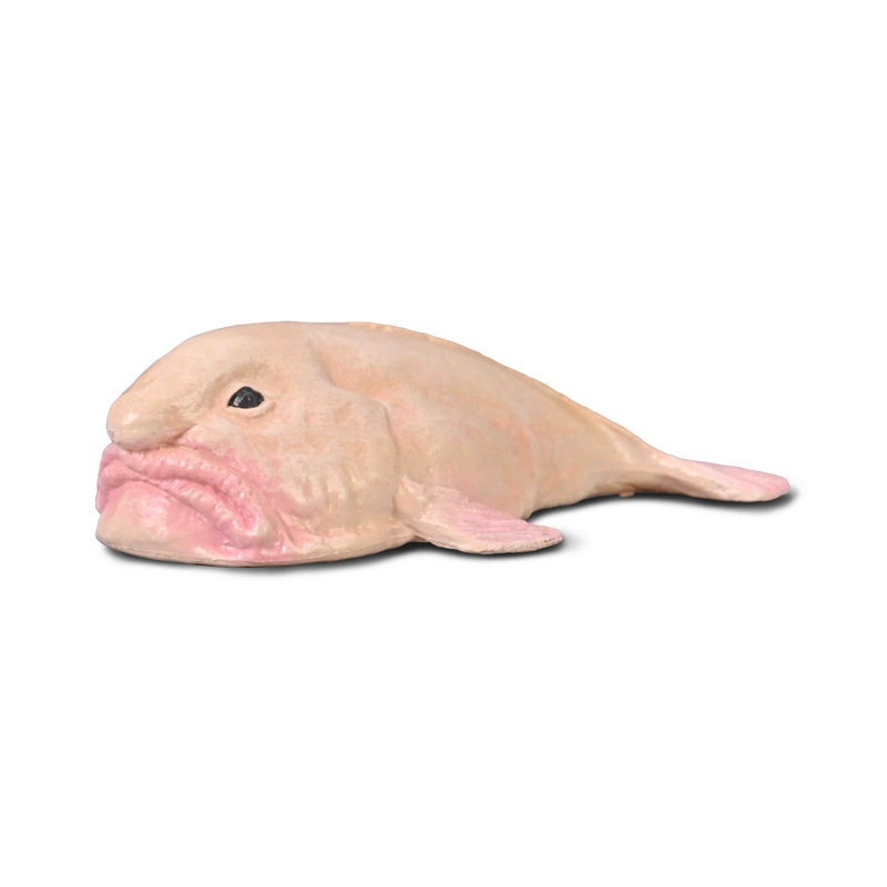 CO Blobfish (S)