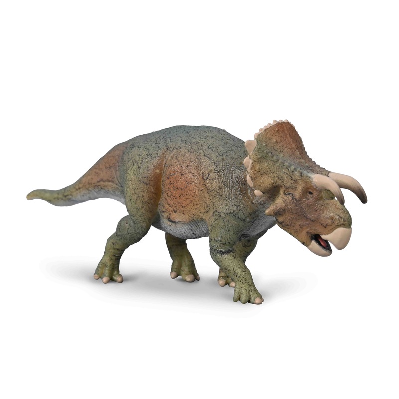CO Furcatoceratops (M)