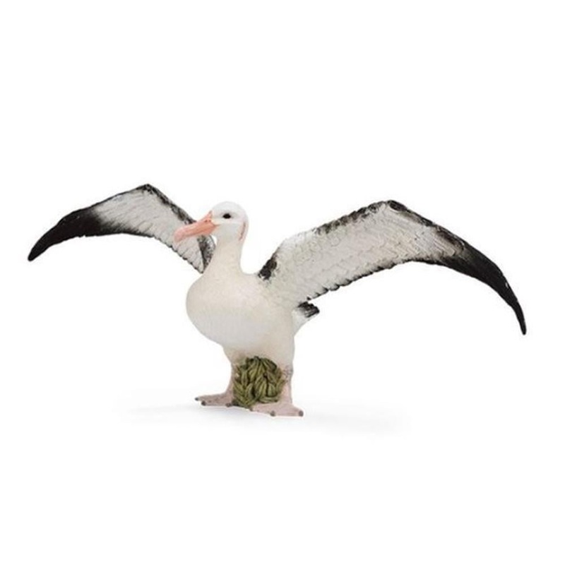 CO Wandering Albatross (L)