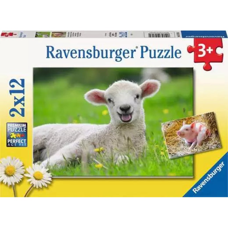 RB Farm Animals 2x12pc