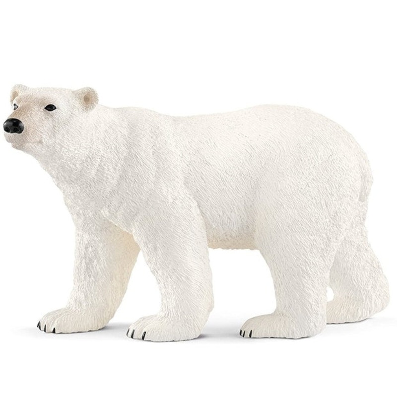 SC Polar Bear (Grey Dot)