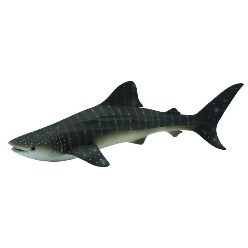 CO Whale Shark (XL)