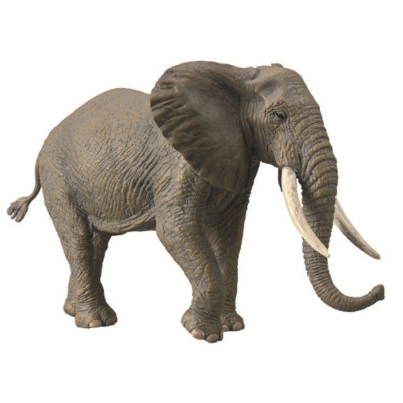 CO African Elephant (XL)