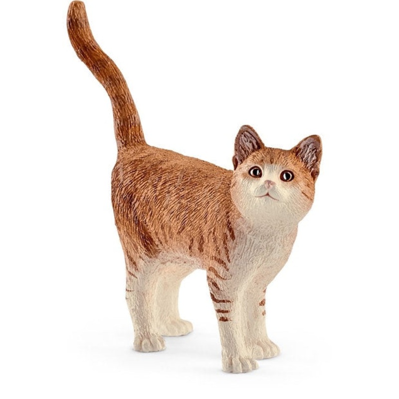 SC Cat Ginger (Green Dot)