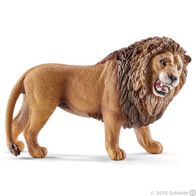 SC Lion