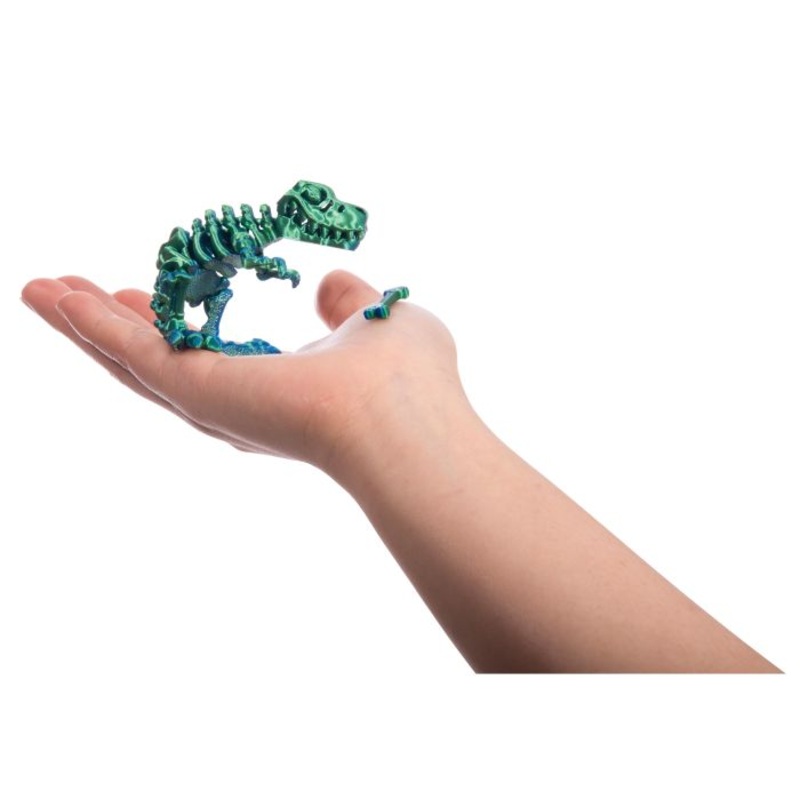 3D Sensory T-Rex Assorted