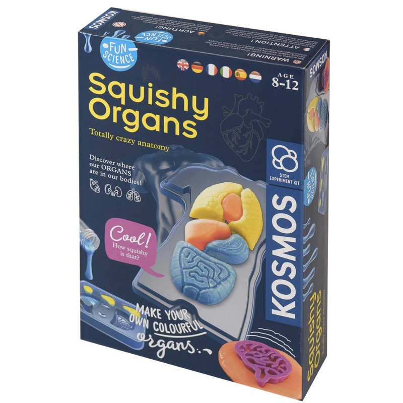 Squishy Organs