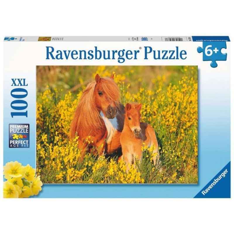RB Shetland Ponies 100pc
