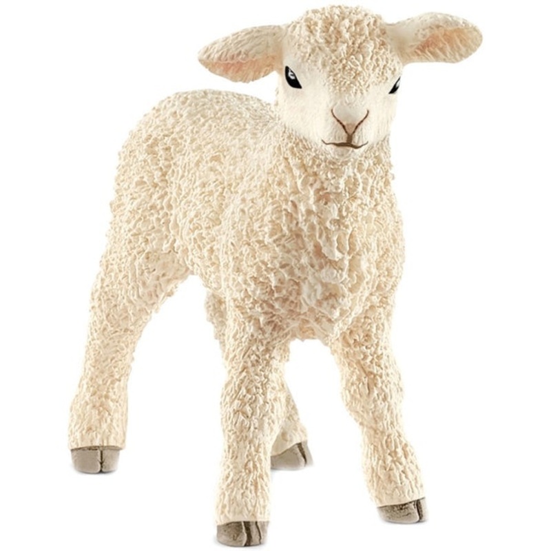 SC Lamb (Green Dot)